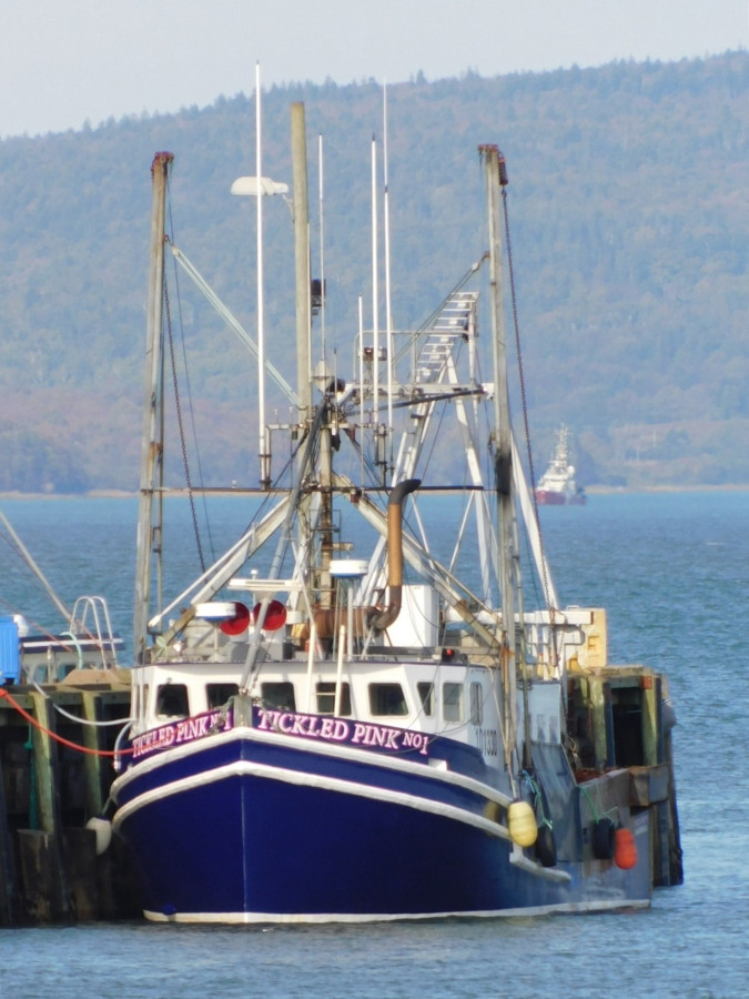 Tickled Pink No 1 at wharf (Photo Credit: Lee Dugas)